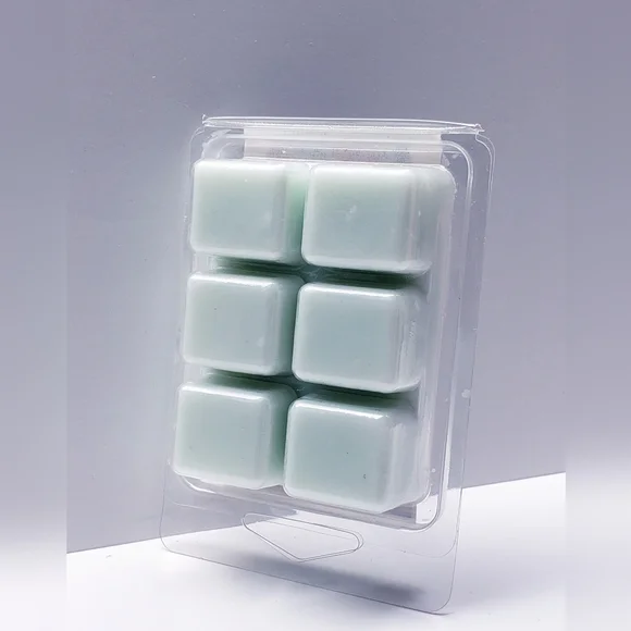 EUCALYPTUS RAIN -Bath & Body Works Candle Wax Melts- $8 per pack - Picture 2 of 9